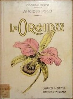 Le orchidee.